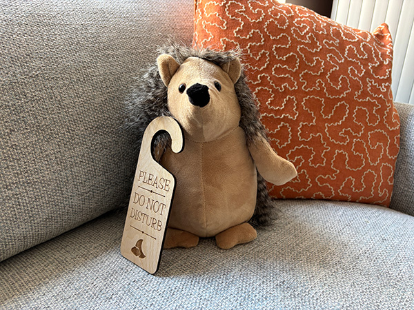 Toy hedgehog holding a do not disturb sign